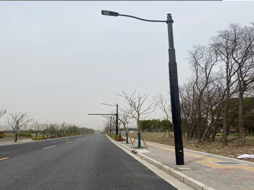 长顺县上海综合杆 太阳能路灯工程